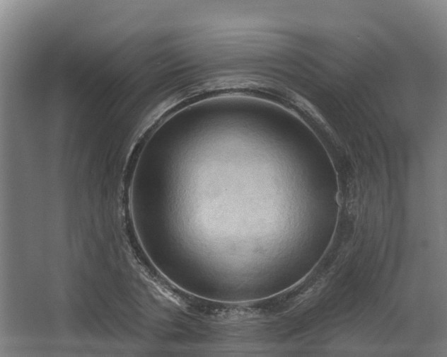 X0000068740786200605011024