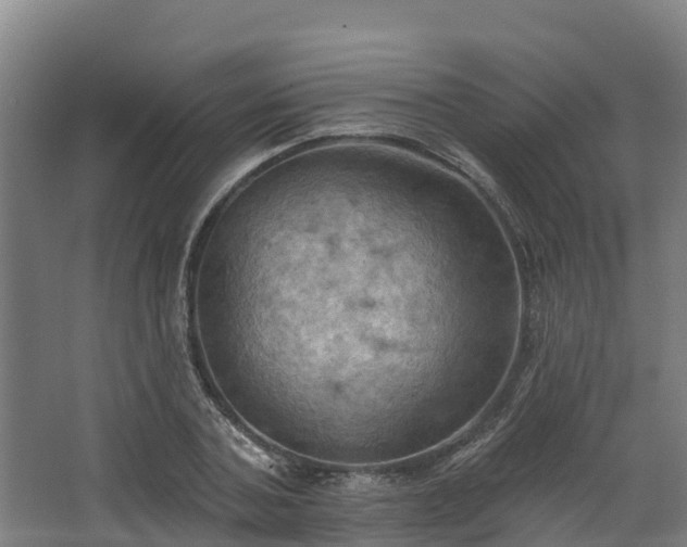 X0000068740787200605011024