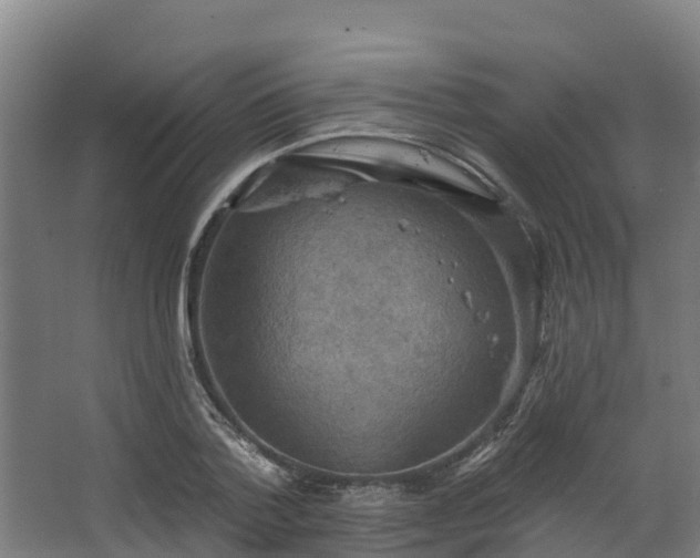 X0000068740788200605011024