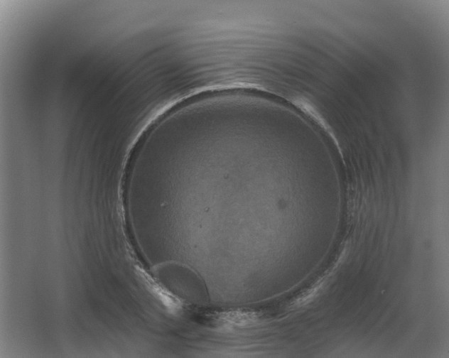 X0000068740789200605011024