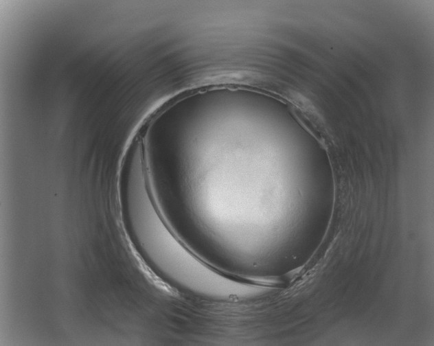 X0000068740792200605011024