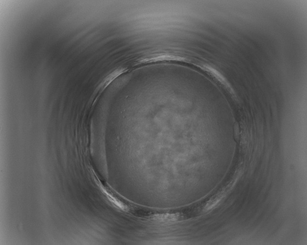 X0000068740793200605011024