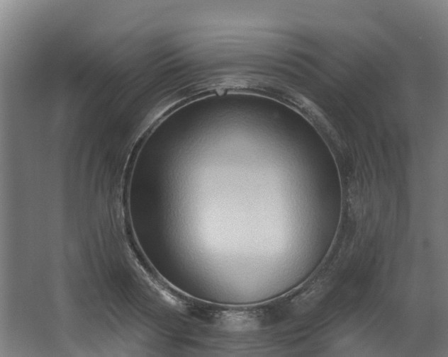 X0000068740794200605011024