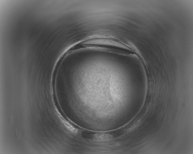 X0000068740795200605011024