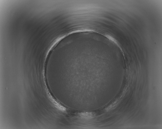 X0000068740797200605011024