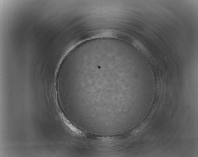 X0000068740800200605011024