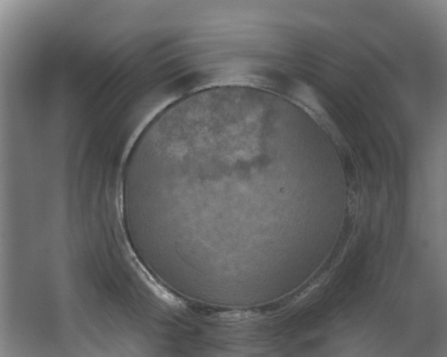 X0000068740804200605011024