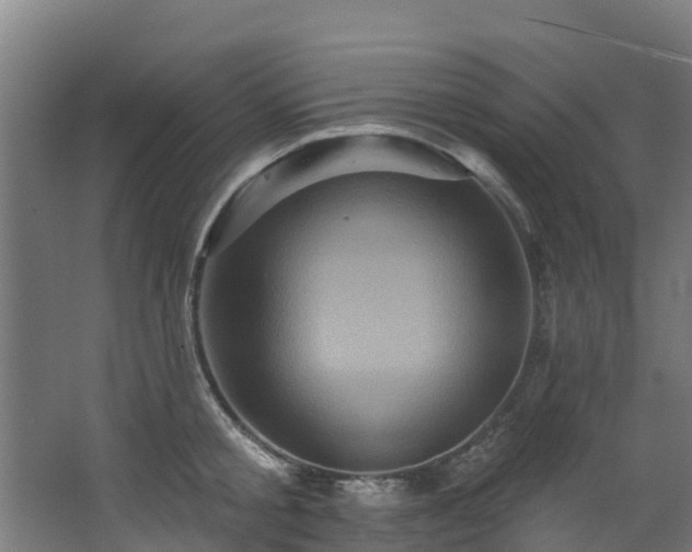 X0000068740805200605011024