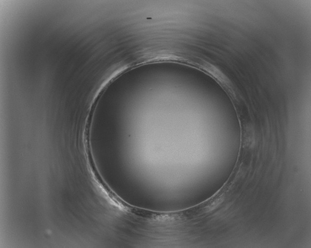 X0000068740806200605011024