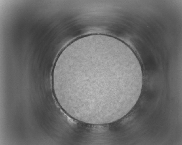 X0000068740807200605011024