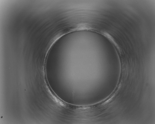 X0000068740810200605011024