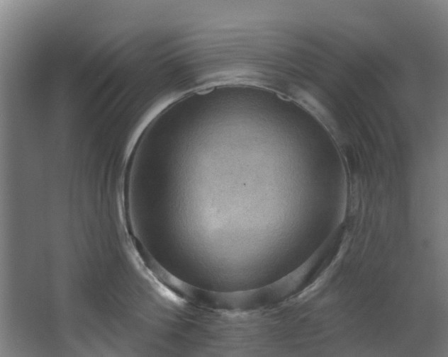 X0000068740812200605011024