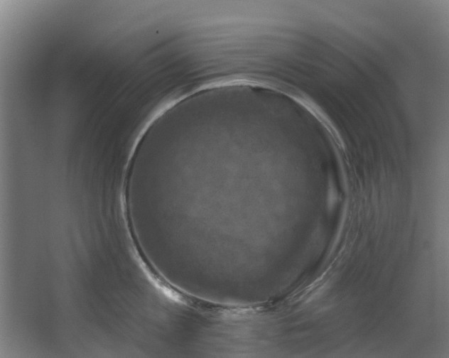 X0000068740813200605011024