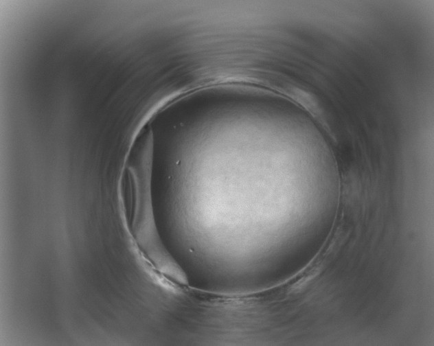 X0000068740814200605011023