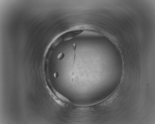 X0000068740816200605011023