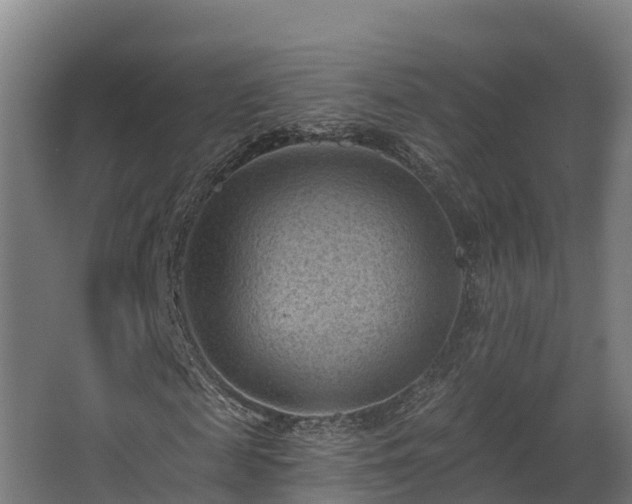 X0000068740817200605011023