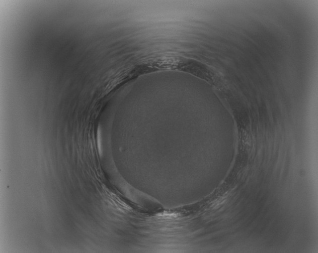 X0000068740818200605011023