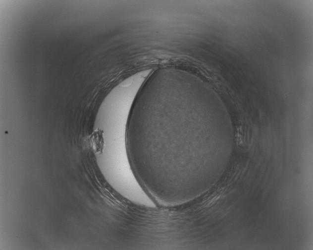 X0000068740820200605011023