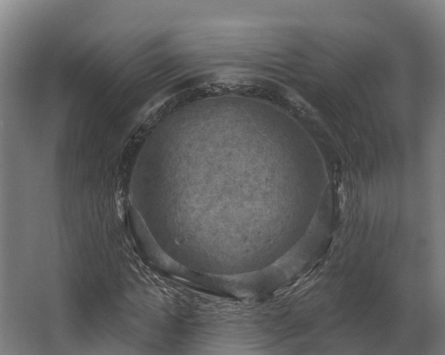 X0000068740822200605011023