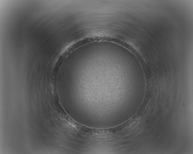 X0000068740823200605011023