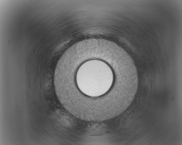 X0000068740824200605011023