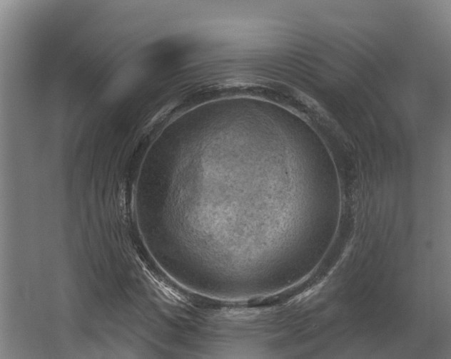 X0000068740825200605011023