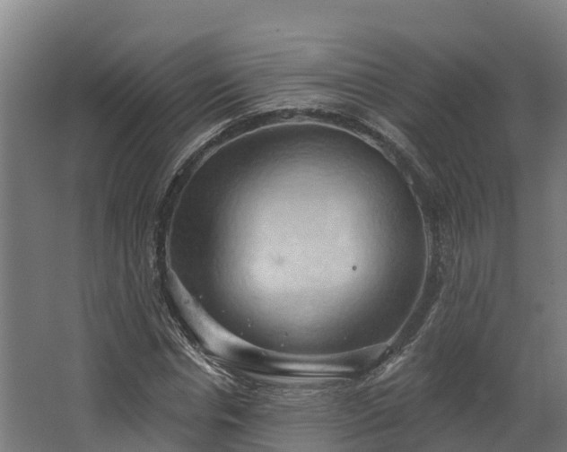 X0000068740826200605011023