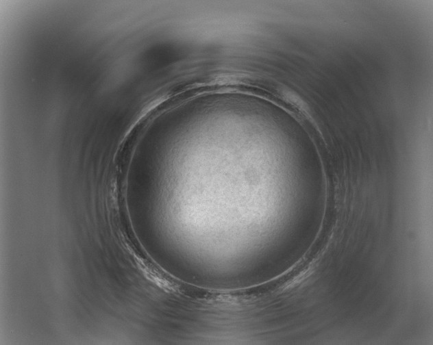 X0000068740827200605011023