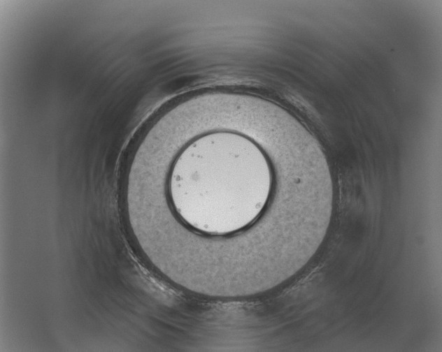 X0000068740828200605011023