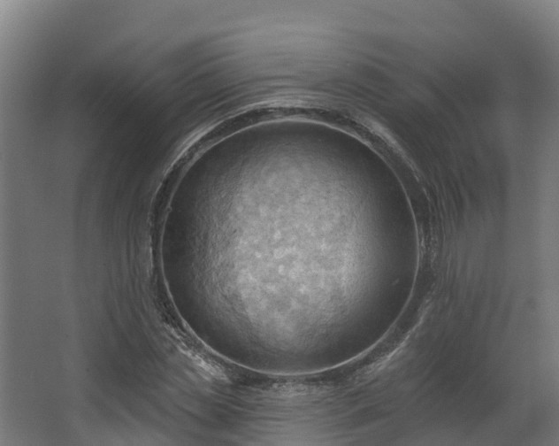 X0000068740829200605011023