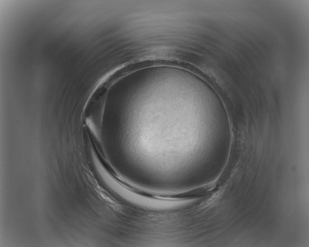 X0000068740830200605011023