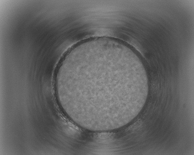 X0000068740832200605011023