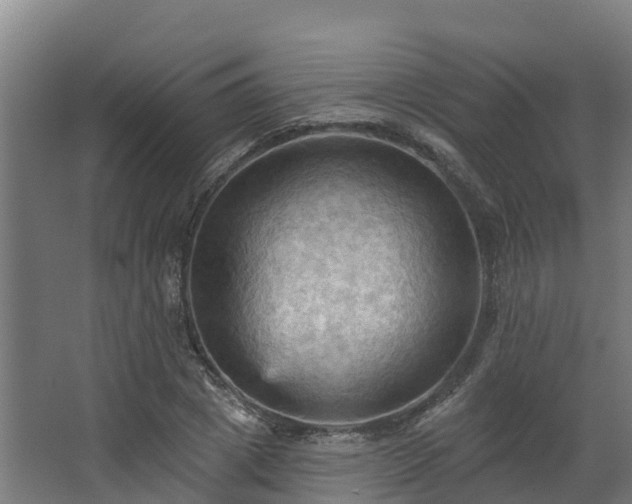 X0000068740833200605011023