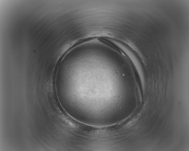 X0000068740834200605011023