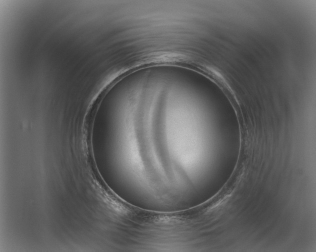 X0000068740835200605011023