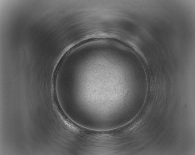 X0000068740837200605011023