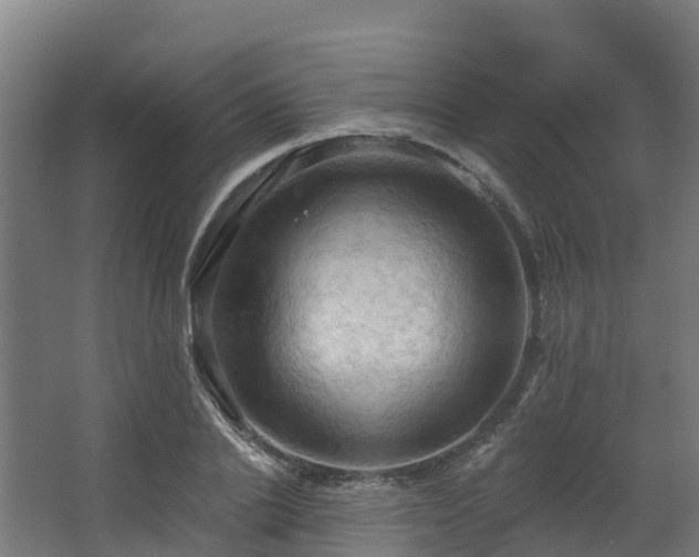 X0000068740838200605011023