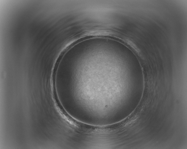 X0000068740840200605011023