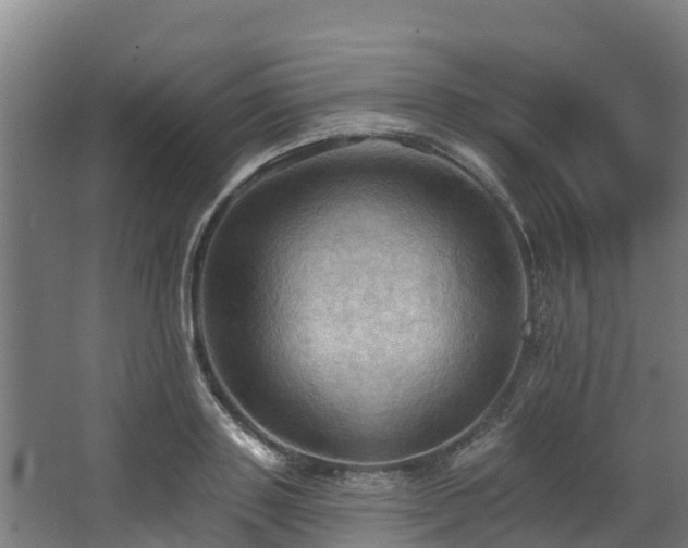 X0000068740843200605011023