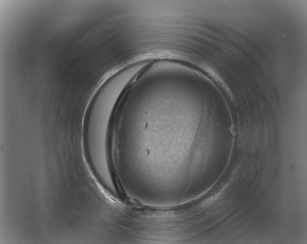 X0000068740845200605011023