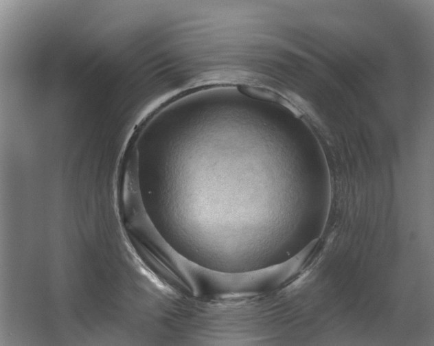 X0000068740846200605011023