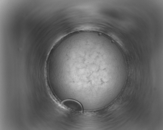 X0000068740848200605011023