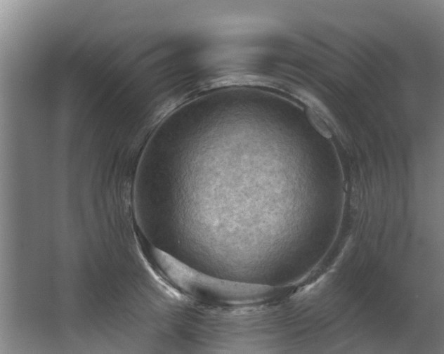 X0000068740849200605011023