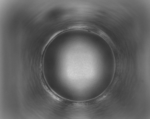 X0000068740852200605011023