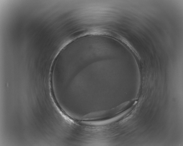 X0000068740853200605011023