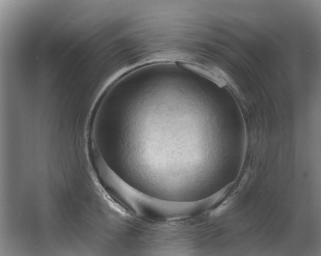 X0000068740854200605011023