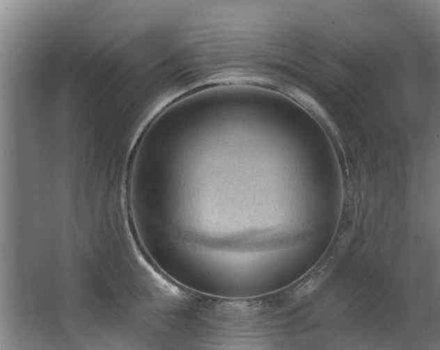 X0000068740855200605011023