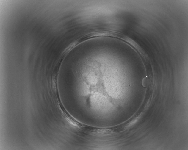 X0000068740857200605011023