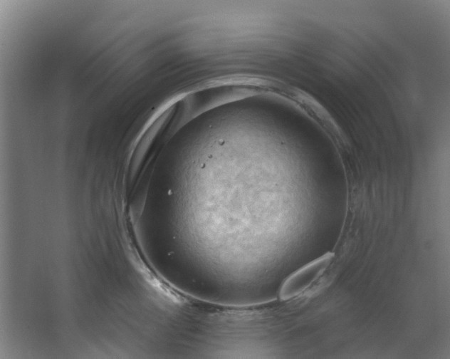 X0000068740860200605011023