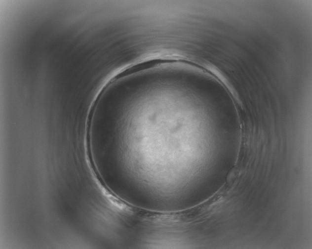 X0000068740861200605011023